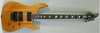 caparison dellinger 2 se (NEW).jpg